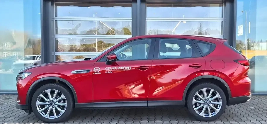 Mazda CX-60 cena 197900 przebieg: 20460, rok produkcji 2022 z Sulechów małe 326